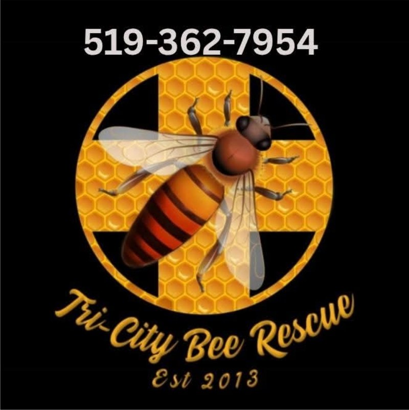 Tri-City Bee Rescue logo: a honeybee on a honeycomb cross, established 2013